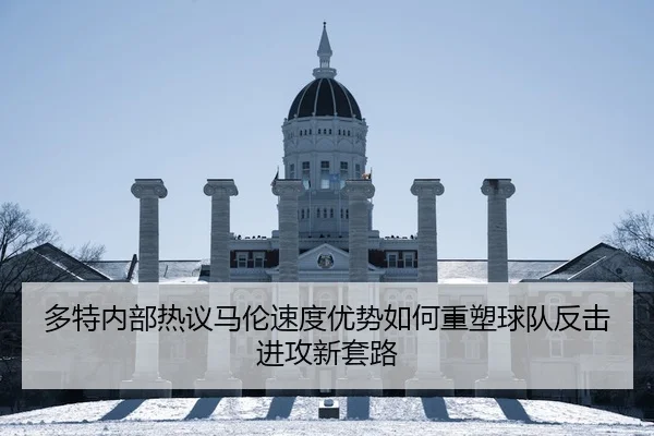 duo-te-nei-bu-re-yi-ma-lun-su-du-you-shi-ru-he-zhong-su-qiu-dui-fan-ji-jin-gong-xin-tao-lu-2-521.jpg